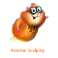 Hamster Scalping计划参与人数14人 每人50人民币